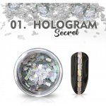 Hologram Secret 01 stříbrné Stříbrná – Hledejceny.cz