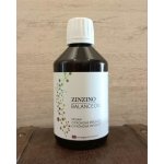 Zinzino BalanceOil Vegan Lemon Omega 3 pro vegany 300 ml – Hledejceny.cz