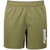 Pánské kraťasy a šortky Puma pánské kraťasy SUMMER GRAPHIC WOVEN shorts 5 848578-32 GREEN