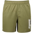 Puma pánské kraťasy SUMMER GRAPHIC WOVEN shorts 5 848578-32 GREEN