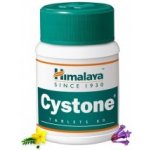 Himalaya Cystone 100 tablet – Zbozi.Blesk.cz