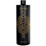 Orofluido Conditioner Colour Protection 1000 ml – Zbozi.Blesk.cz