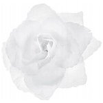 Dekorace na auto – květiny, vícebarevná – Zboží Mobilmania