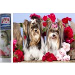 Norimpex Diamantové malování Pejsci v růžích 30 x 40 cm – Sleviste.cz