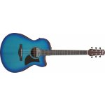 Ibanez AAM50CE – Sleviste.cz