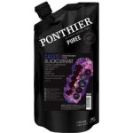 Ponthier Pyré ovocné černý rybíz 1000 g – Zboží Dáma