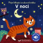 Moje blikající zvuková knížka - V noci - Maria Höck – Hledejceny.cz