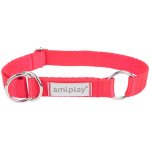 Amiplay Obojek pro psy polostahovací RUMBA – Zboží Dáma