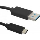 Qoltec 50420 USB 3.0 AM / USB 3.1 typC M, 0,25m