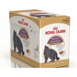 Royal Canin British Shorthair Gravy 12 X 85 g – Sleviste.cz