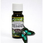Saloos esenciální olej Meloun 10 ml – Hledejceny.cz