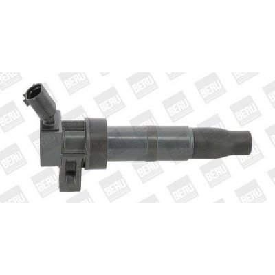 Zapalovací cívka BorgWarner (BERU) ZS548 – Hledejceny.cz