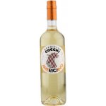 Cocchi Americano Bianco 16,5% 0,75 l (holá láhev) – Zboží Dáma