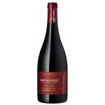 Les Vignerons de Mancey Bourgogne rouge Pinot noir AOC 2023 12,5% 0,75 l (holá láhev) – Hledejceny.cz