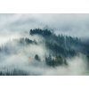 Postershop Fototapeta vliesová: Mlha nad lesem (4) rozměry 368x254 cm