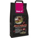 Pavo Muscle Build NEW 3 kg