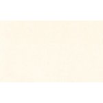 Sennelier Inkoust 30 ml 01 opaque white krycí bílá – Zboží Dáma