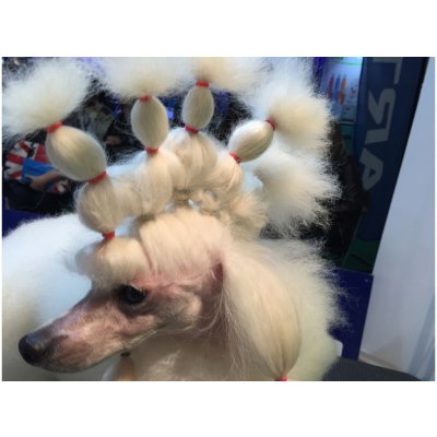 Show Tech Latexové gumičky na natáčky Wrapbands 100 ks Bílá – Hledejceny.cz