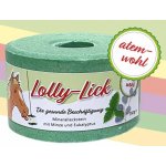 S.I.N. Hellas Koňské lízátko Lolly Lick máta a eukalyptus 750g Levandule – Hledejceny.cz