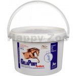 Orling Gelapony Arthro k regeneraci kloubů koní 5,4 kg – Sleviste.cz