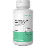 Epigemic Boswellia Serrata Epigemic 90 kapslí – Hledejceny.cz