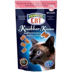 Perfecto Cat polštářky s lososem 50 g – Hledejceny.cz