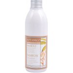 Botanico šampon Mandle 200 ml – Zboží Mobilmania