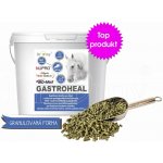 Dromy Gastroheal KONCENTRÁT 3 kg – Zboží Dáma