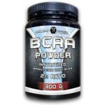 Bodyflex BCAA powder 300 g – Hledejceny.cz