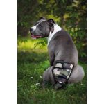 Vsepropejska Fixed maskáčové Hárací kalhotky pro psa slabin 66 80 cm – Zboží Mobilmania