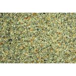 Kvídera Krmné směsi Proso zelené 1 kg – Hledejceny.cz