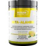 Human Protect Beta-Alanine 300g – Hledejceny.cz
