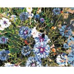 Zuty Malování podle čísel CHRPY MODRÉ – Zboží Dáma