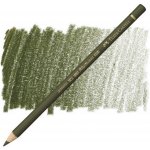 Faber-Castell Polychromos 1101 olivová žlutá 173 – Sleviste.cz