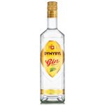 Dynybyl Special Dry Gin 37,5% 0,5 l (holá láhev) – Zboží Dáma