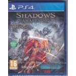 Shadows: Awakening – Hledejceny.cz