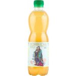 Stevikom Kombucha zelený čaj 0,5 l – Zboží Dáma