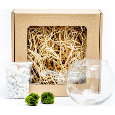 Gardners Skleněná váza boule 13 cm a 2 řasokoule v dárkovém balení Cladophora Aegagropila – Zboží Dáma