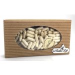 4betterlife Ženšen čínský mletý 30 g – Hledejceny.cz