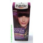 Pallete Intensive Color Creme barva na vlasy RFE3 Intenzivní tmavě fialová – Sleviste.cz