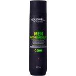 Goldwell Dualsenses men Anti Dandruff Shampoo 300 ml – Hledejceny.cz