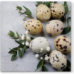 PAW ubrousky L Natural Eggs 33x33cm – Zboží Dáma