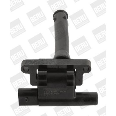 Zapalovací cívka BorgWarner (BERU) ZS501 – Hledejceny.cz