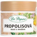 Dr. Popov Propolisová mast s medem 100 ml – Hledejceny.cz