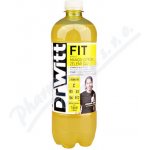 DrWitt FIT mango cit. zel.čaj 750 ml – Hledejceny.cz