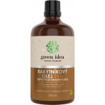 Green idea Rakytníkový olej 25% 100 ml – Hledejceny.cz