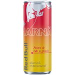 Red Bull Energetický nápoj Winter Jablko Fuji-Zázvor 250 ml – Zboží Dáma