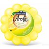 Osvěžovač vzduchu General Fresh Fresh gel osvěžovač 150 g citron