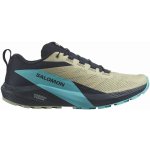 Salomon sense ride 5 Alfalfa/Carbon/Peablu L47458500 – Zboží Dáma