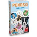 Pexeso: Pejsci